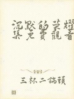 沉默的荣耀40集免费观看全集高清版