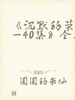 《沉默的荣耀1—40集》全集免费观看