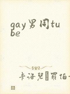 gay男同tube