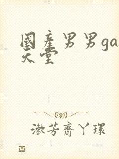 国产男男gay天堂