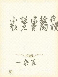 小说你给我的喜欢免费阅读