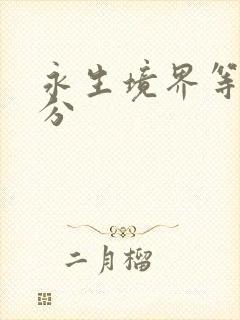 永生境界等级划分