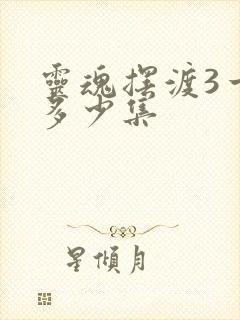 灵魂摆渡3一共多少集封面