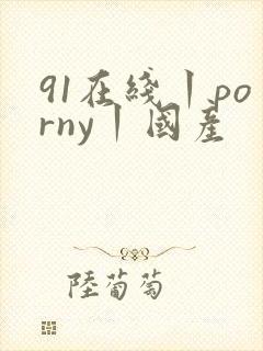 91在线丨porny丨国产