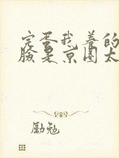 完蛋我养的小白脸是京圈太子爷电视剧