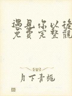 遇见你以后电影免费完整观看高清版