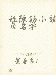 姓陈的小说女主角名字