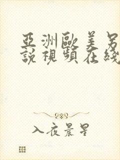 亚洲欧美另类小说视频在线观看