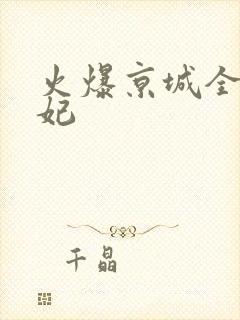 火爆京城全能王妃