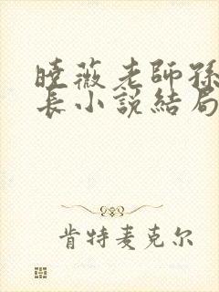 晓薇老师孙燕校长小说结局封面