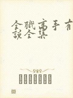 全职高手有声小说全集封面