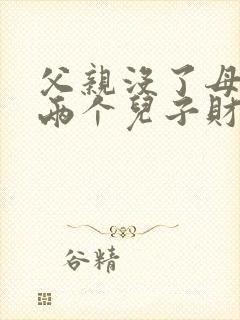 父亲没了母亲和两个儿子财产如何继承