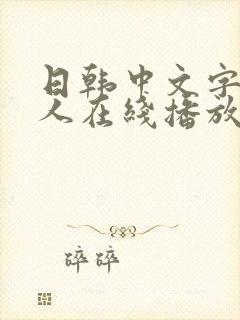 日韩中文字幕成人在线播放封面