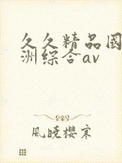 久久精品国产亚洲综合av封面