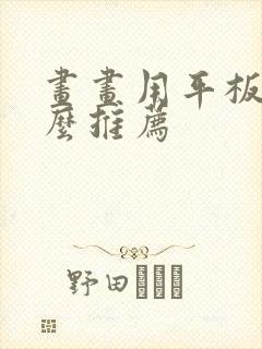 画画用平板有什么推荐