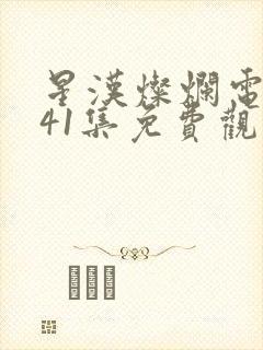 星汉灿烂电视剧41集免费观看