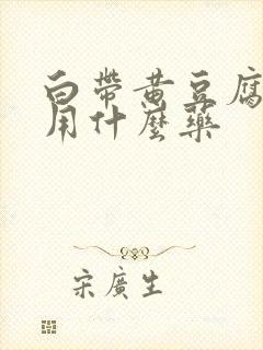 白带黄豆腐渣状用什么药