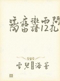 晚夜微雨问海棠陶笛谱12孔