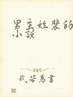 男主姓裴的所有小说封面