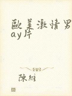 欧美激情男男gay片