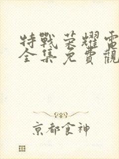 特战荣耀电视剧全集免费观看完整版