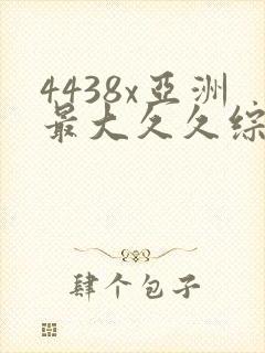 4438x亚洲最大久久综合
