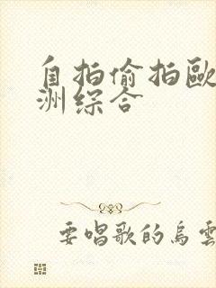 自拍偷拍欧洲亚洲综合封面