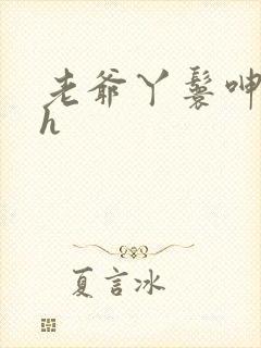 老爷丫鬟呻吟高h封面