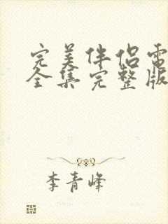 完美伴侣电视剧全集完整版免费封面