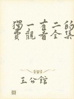 独一有二的他免费观看全集封面