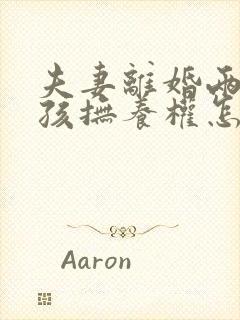 夫妻离婚两个小孩抚养权怎么判