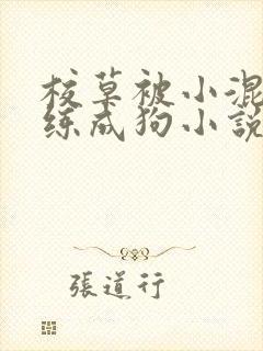 校草被小混混调练成狗小说免费阅读封面