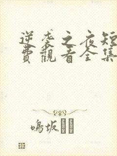 逆袭之夜短剧免费观看全集高清