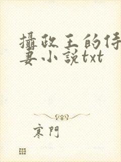 摄政王的侍爱逃妻小说txt