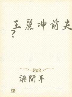 王丽坤前夫是谁?