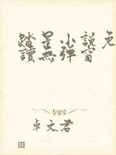 踏星小说免费阅读无弹窗