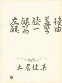 左腿膝盖后面的腿窝一弯曲就疼