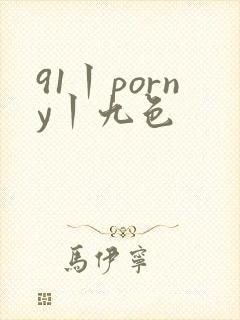 91丨porny丨九色