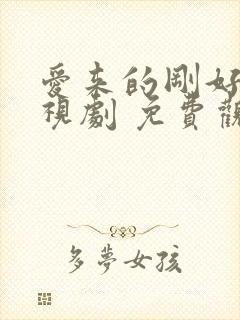 爱来的刚好 电视剧 免费观看