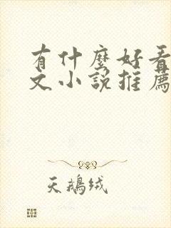 有什么好看的虐文小说推荐