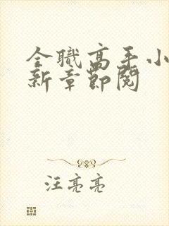 全职高手小说最新章节阅