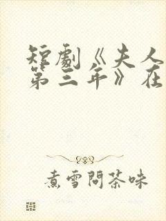 短剧《夫人走的第三年》在线观看