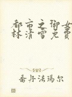 都市之御女神功林清雪免费阅读