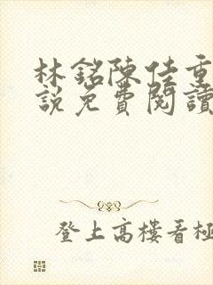 林铭陈佳重生小说免费阅读封面