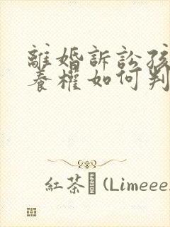 离婚诉讼孩子抚养权如何判决