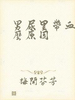 男尿里带血是什么原因封面