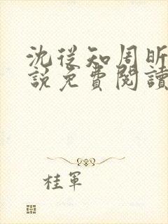 沈从知周昕夏小说免费阅读封面