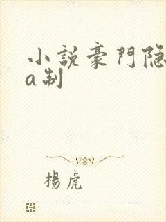 小说豪门隐婚aa制