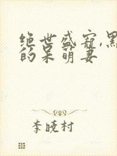 绝世盛宠,黑帝的呆萌妻