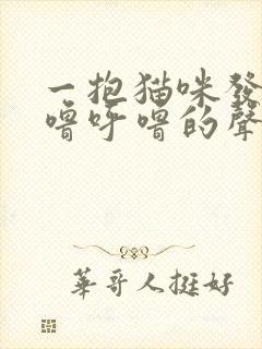 一抱猫咪发出呼噜呼噜的声音